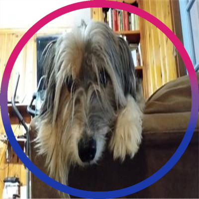 lellowcake's profile picture. Virgo, Pronouns she/they