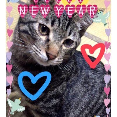 KqpGH5OPb9k8Fao's profile picture. ダビマスをやってます(^｡^)