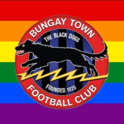 BungayLadiesFC Profile Picture