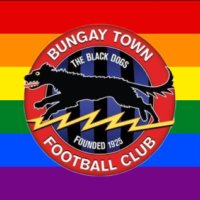 Bungay Town Ladies(@BungayLadiesFC) 's Twitter Profileg