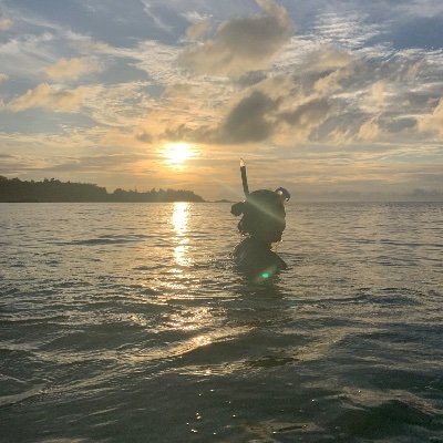 dddさんのプロフィール画像