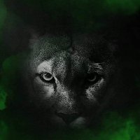 FZN 12th Man Football Club(@FznMan) 's Twitter Profile Photo