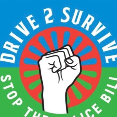 an organisation set up by, for and with ethnic Gypsy, Roma & Travellers supporting  living with the enforcement of the racist policing act