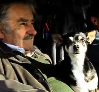 manuela3patas's profile picture. Viviendo en la chacra con Pepe y Lucia ! Ta ?