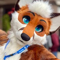 Plato (@plato_fox) 's Twitter Profile Photo