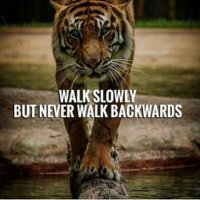 Mallikarjun (@mallu1_a) 's Twitter Profile