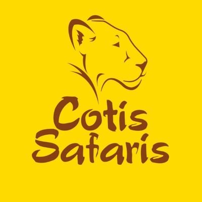 Expertly Curated Travel Experiences || Thrilling Safari Adventures || Unforgettable Holidays || Corporate Travel
☎️ +254740033100
📧 info@cotissafaris.com