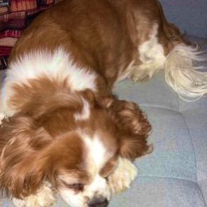 LeanneW06's profile picture. Dance