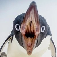 D Haz (@userfriendlylad) 's Twitter Profile Photo D Haz (@userfriendlylad) 's Twitter Profile Photo