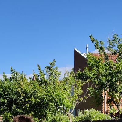 MejoraBoadilla's profile picture. La vida es 10% lo que sucede y 90% el cómo reaccionar ante ella. (Charles R. Swindoll)