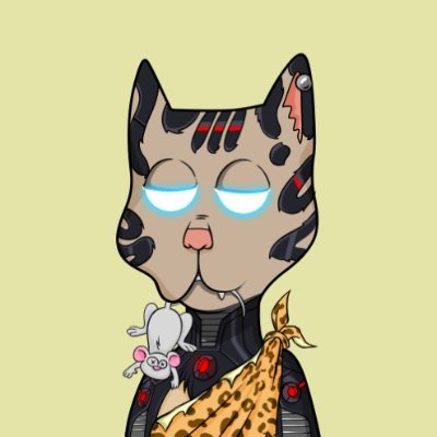 spicyさんのプロフィール画像