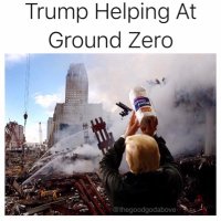Trumpwastrounced (@tomhatestrumpy) 's Twitter Profile