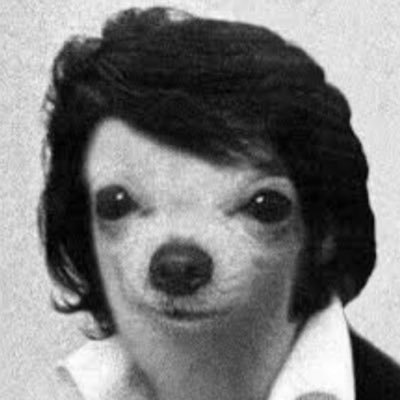 yoav_caballero's profile picture. cuenta vertedero