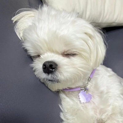 GAIA48880677's profile picture. 