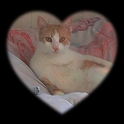 Tessaalejandr's profile picture. 