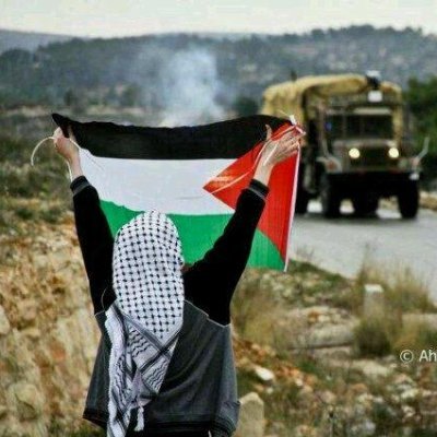 Observador opinante y dirigente sindical. Palestina Libre - 
فلسطين    حرّة