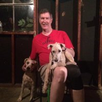 Elemental Scott (@elementalscott) 's Twitter Profile