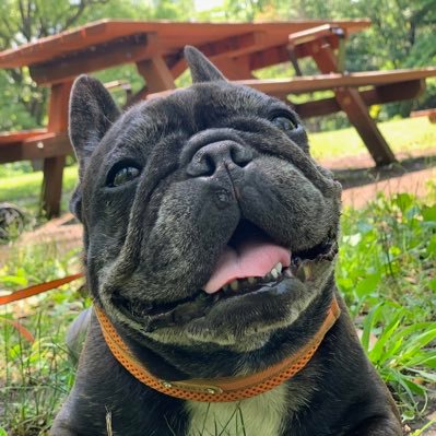 tazymarl's profile picture. 