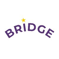 BRIDGE Project(@BRIDGEinfolit) 's Twitter Profile Photo