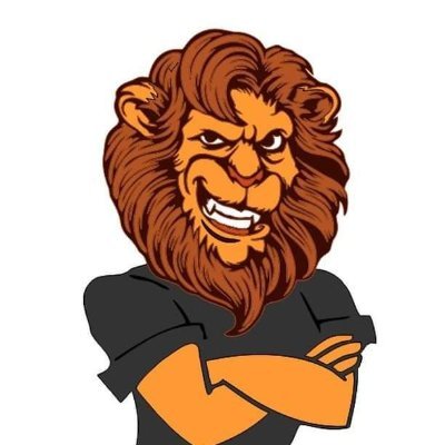 LionZone_LNZ's profile picture. Lion Zone Is A NFT Based Project With 600 Unique NFTs.