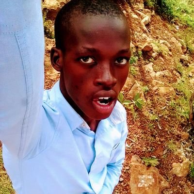 FestooLimoo's profile picture. 