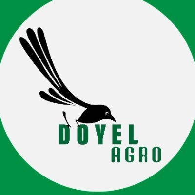 I'm a software engineer(Freelancer). I already start working on my dream. I have a youtube channel and facebook page. Everyone will bless and support me.