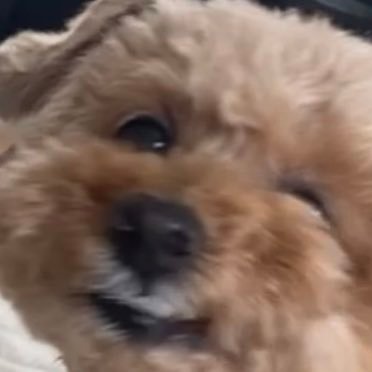 _____07mm's profile picture. 青いコンビニ店員🟦  @BEFIRSTofficial