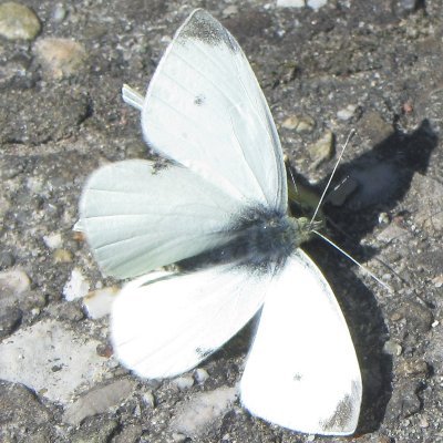 _Interessierte's profile picture. "Handeln mag unbequem sein. Nicht handeln wird noch viel unbequemer – und ist unverantwortlich." 
(Zitat von P. Hofstetter)