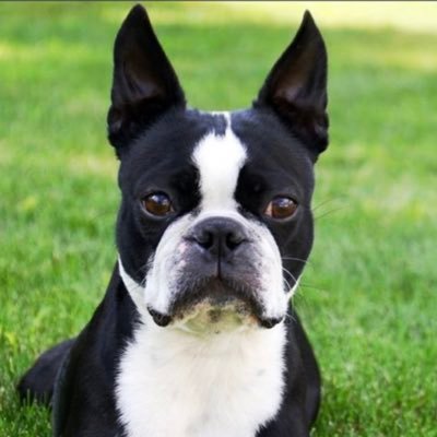 AROD346's profile picture. 