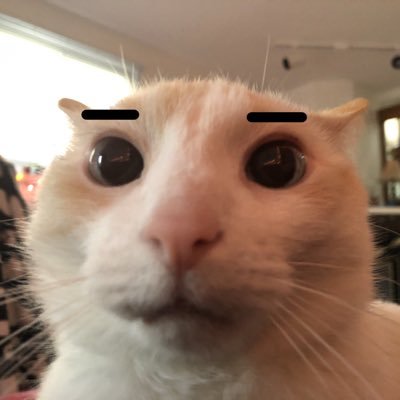 HyperactiveActs's profile picture. i do nothing but scroll endlessly