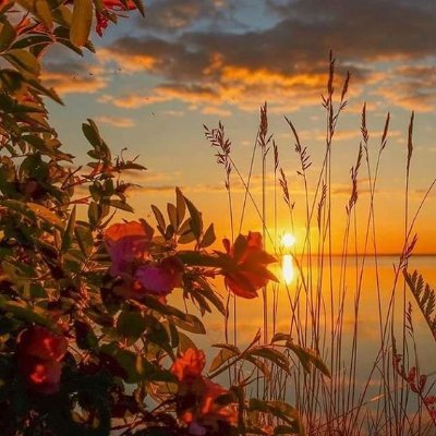 holyshift9's profile picture. #acim