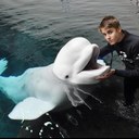 Hannah Lucy Buck - @hannahlucybuck - Twitter