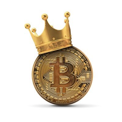 Blockchain King 🤴 Profile
