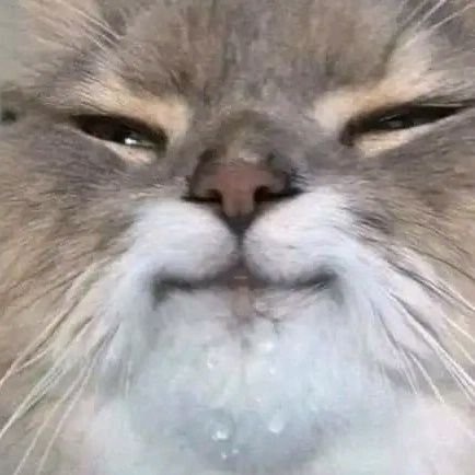 uriaka96's profile picture. 