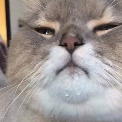 FamaFries's profile picture. Buy low and buy high.