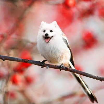 Lockandload986's profile picture. I'm afraid of girls