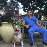 Mike Spadola (@spadolamd) 's Twitter Profile