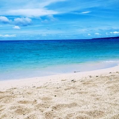 Traveler, Scuba Diver, and Nature Lover
I post YouTube videos of walking tours of beaches and interesting places. Please check my channel .... Thank you 😊