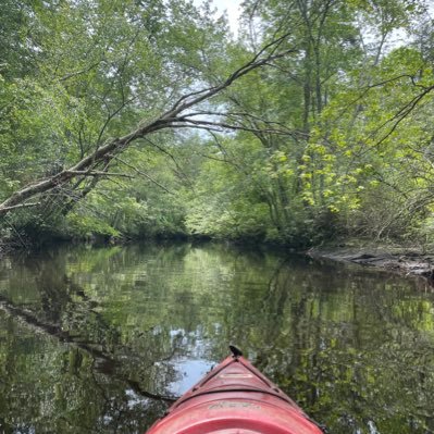 Iceysole609's profile picture. Trading $ES $NQ $CL