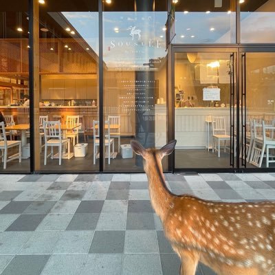 柿の葉茶、ブレンドティー、茶器、鹿グッズ、の販売と飲食は柿の葉茶、かき氷が中心です。木曜日は飲食お休みです イベント&夜営業以外のご予約は承っておりません