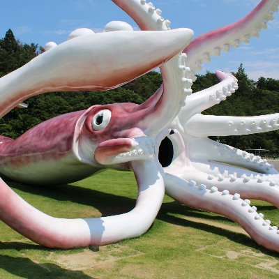 名前:イカキング
誕生日:2020年6月20日
出身:日本海沖大和堆
生息地:九十九湾(イカの駅つくモール)