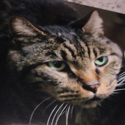 neco_pwp's profile picture. この春、大学病院を離れ地元で開業。代謝・栄養に興味がある内科医。社会の一部として、自分にできることを真摯に考え、学び続けたい。病にならないことは手段であって目的ではない。「病を持つ人」の幸せを守るために動いています。たとえ一人一人の力は小さくても、集まれば大きな力になるはずです。