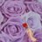 _Rose_Pearl
