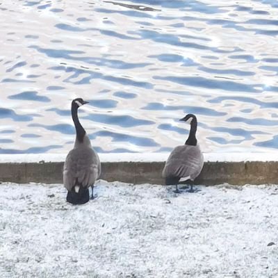 onemorefic's profile picture. Account for fics