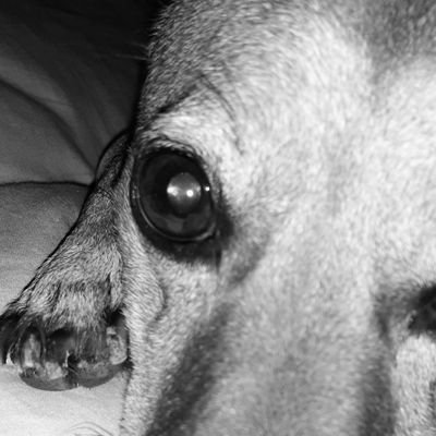 KlauJay's profile picture. Bienvenido el cambio |