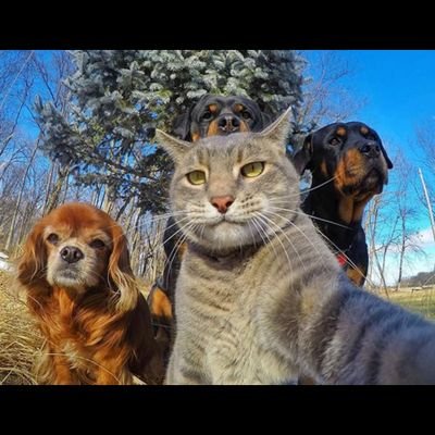 andresvilardy's profile picture. Demos el primer paso, pasión de un pueblo.👹