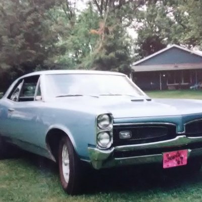 Wayne11220450's profile picture. Trump Won