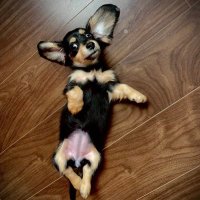 mimi (@2022mimichan) 's Twitter Profile