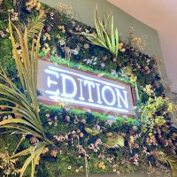 Edition Cafe (@editioncafe) 's Twitter Profile