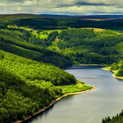 hahrwy's profile picture. אין תיאור